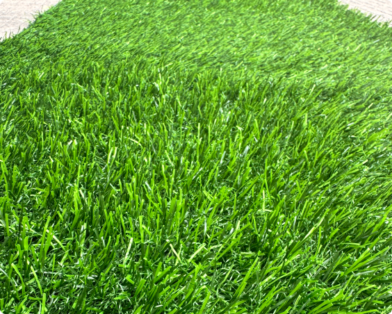 Modelo Irlanda de Pasto Plus