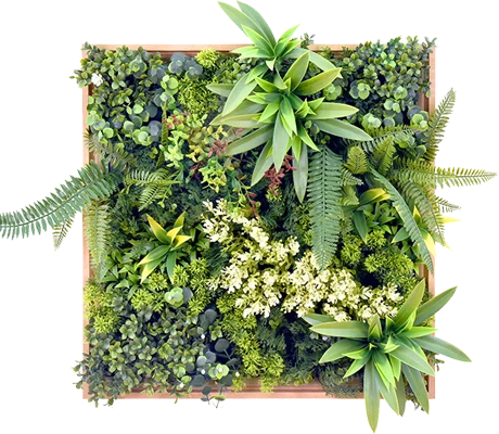 MOdelo Marco Celestria de Pasto Plus Pasto sintético