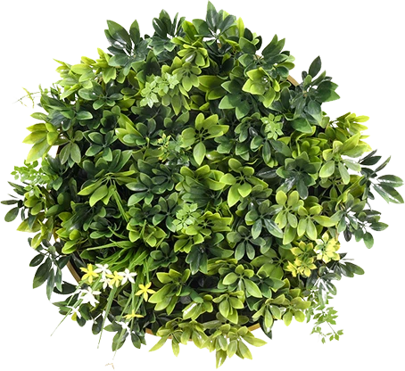 Modelo Marco florelle de Pasto Plus Pasto sintétic